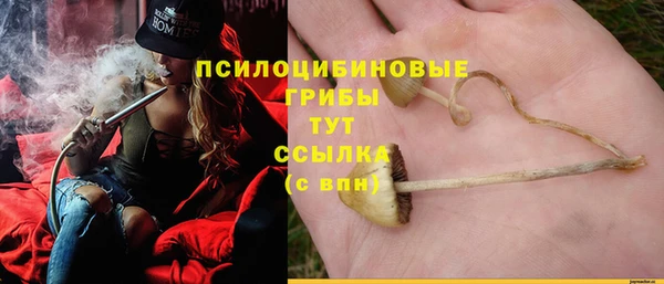 прущая мука Шали