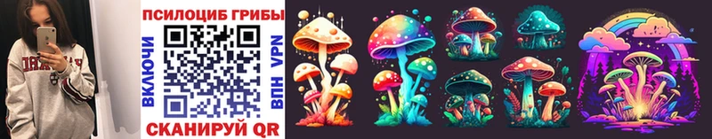 мега   где можно купить наркотик  площадка состав  Псилоцибиновые грибы Cubensis  Бикин 